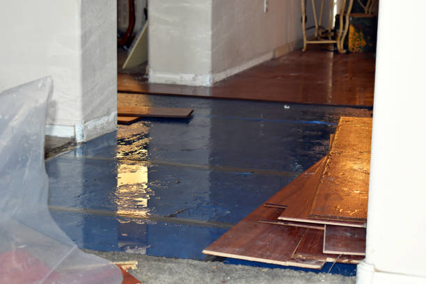 Professional Basement Flood Cleanup technician working in Riverside, ID